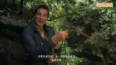 贝爷荒野求生：在热带雨林中，无论你睡在哪里都有可能和昆虫共枕-原创解说文案