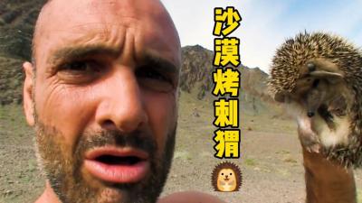 单挑荒野：本期是德爷的沙漠美食节目，蜥蜴，刺猬，地鼠三兄弟！-原创解说文案