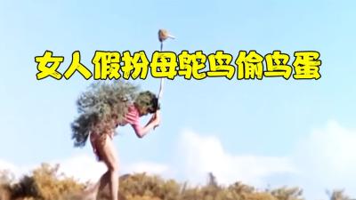 非洲沙漠的天才捕猎，女子伪装成母鸵鸟偷蛋，被公鸵鸟追得满山跑-原创解说文案