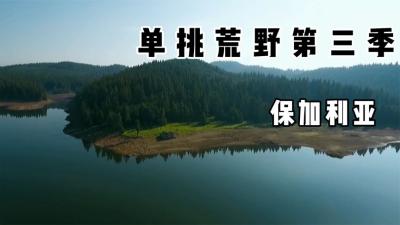单挑荒野第三季：德爷这期有点惨，吃毒蘑菇吃的神志不清啦！-原创解说文案