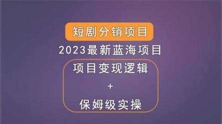 网剧分销项目，新蓝海项目，月入过万很轻松-课程-网盘资源分享