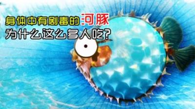 河豚体内的剧毒是怎么来的？如果不小心中了河豚毒素，该怎么办-吾爱原创解说文案