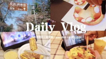 秋叶一起学轻松笔记新帕梅拉健身全集高清零基础插画综...-课程-网盘资源分享