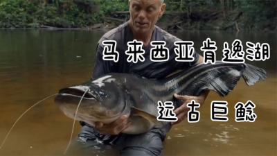 河中巨怪：渔民被不明水怪撞击失踪，搜救人员接连遇难！-原创解说文案
