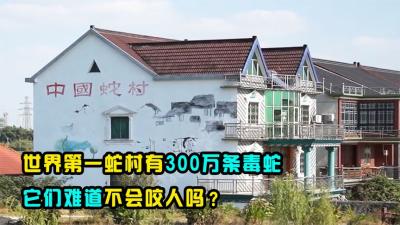 浙江有世界第一蛇村，300万条蛇与人同吃同住，它们难道不咬人？-吾爱原创解说文案