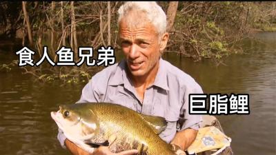 河中巨怪：杰里米进入亚马逊河深处，追踪巨骨舌鱼！-原创解说文案