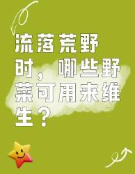 流落荒野？这些野菜可维生