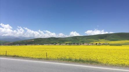 美丽中国纪录片-课程-网盘资源分享