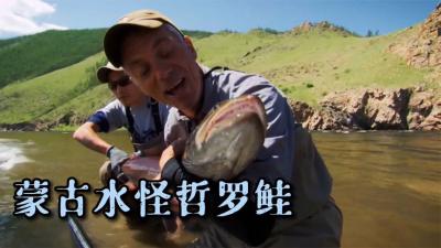 河中巨怪：杰叔来到蒙古寻找儿时的梦想，冰封哲罗鲑！-原创解说文案