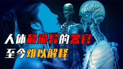 人体最诡异的器官，皮肤为何会莫名发痒？科学家至今无法解释-原创解说文案