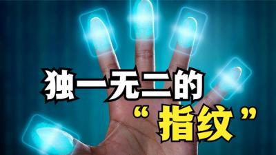指纹是如何形成的？为什么世界上不会有2个一模一样的指纹？-原创解说文案