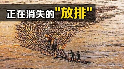 “放排”是干什么的？为什么水上漂着大量木材？看完佩服古人智慧-原创解说文案
