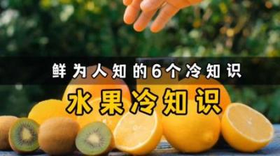 这些关于水果的冷知识，你都知道吗？-吾爱原创解说文案