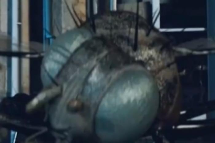 [原创][吾爱原创]科幻恐怖《吸血鬼苍蝇》电影解说文案-[原创首发]-吾爱文案网