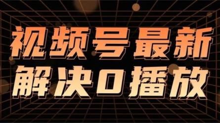 美女视频搬运技术，抖快可同时发，号称能百分百原创（...-课程-网盘资源分享