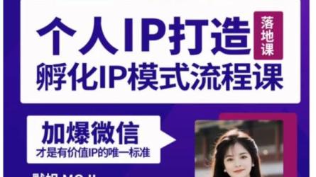 老板IP孵化30天实战课程-课程-网盘资源分享