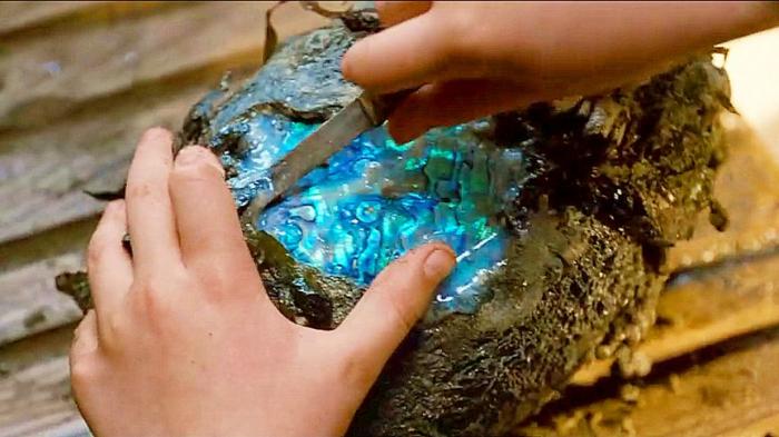 《尼斯湖水怪》7岁小孩捡到一个怪蛋，召唤出一只怪物，差点闯了大祸！《尼斯大冒险》-吾爱原创解说文案-[原创首发]-吾爱文案网