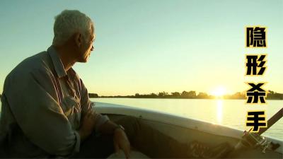 河中巨怪：从海洋游800公里入侵河流的巨型水怪，杀手无数村民！-吾爱原创解说文案