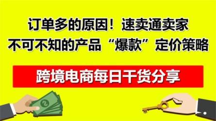 电商高利润爆款产品定价打法-课程-网盘资源分享