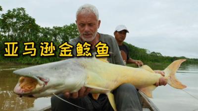 河中巨怪：石油泄露进了亚马逊河，导致鱼类中毒村民患上各种疾病-吾爱原创解说文案