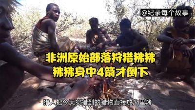非洲的天才原始人，神仙技术把狒狒一锅端，用火一烤又嫩又好吃-原创解说文案