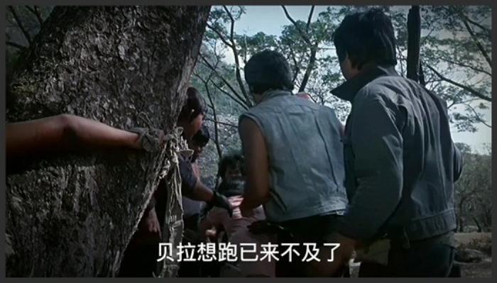 《笼中女》漂亮女囚潜入水牢越狱，逃出生天却又落入狼窝，老电影《笼中女》《笼中女》-吾爱原创解说文案-[原创首发]-吾爱文案网