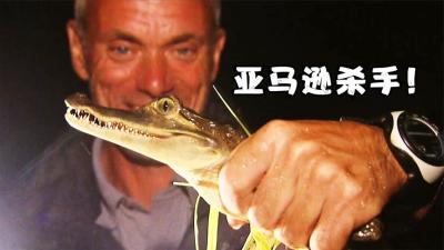 河中巨怪：渔民失踪在亚马逊河中，杰叔为寻真相深入雨林中心！-原创解说文案