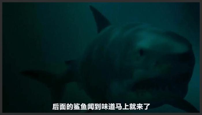 《大海啸之鲨口逃生》电影：男人被困水里，刚准备用水里洗个手，就发现不对劲《鲨岛逃生记》-吾爱原创解说文案-[原创首发]-吾爱文案网