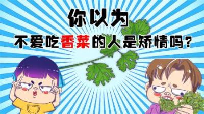 为什么有人讨香菜？-吾爱原创解说文案