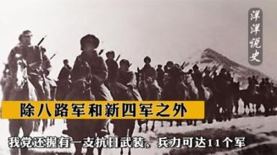 [视]除八路军和新四军之外，我党还握有一支抗日武装，兵力可达11个军-原创解说文案