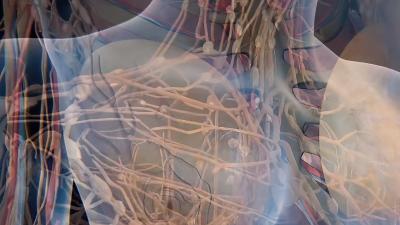 女生乳头为何有香味？蒙氏结节助力宝宝母乳喂养探秘 .结节真实图片