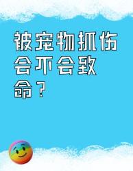 被宠物抓伤真的会致命吗？这些救命知识必须知道