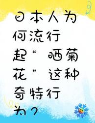 日本人为何流行“晒菊花”？