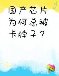 国产芯片突围战突破背后竟藏着这些致命短板