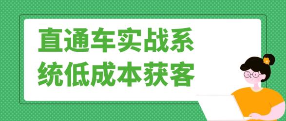 直通车实战系统低成本获客【】