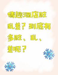 情趣酒店脏乱差？真相大揭秘！