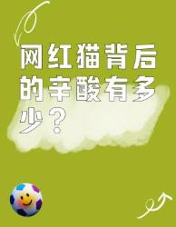 网红萌宠背后竟是血泪真相！
