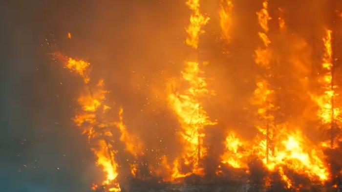 瘾君子布兰登入消防队历经磨砺，火场救援实现从浪子到英雄的蜕变 .防火袋-[原创首发]-吾爱文案网