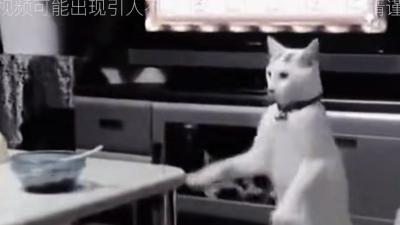 十四岁少女深夜遇诡异黑影，护院猫勇敢救主，背后真相究竟如何？ .狗护院猫镇宅