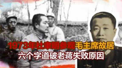 [视]1973年，杜聿明参观毛主席故居后，说了六个字，道破老蒋失败原因-原创解说文案