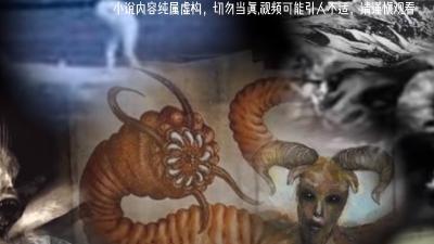 哀牢山导游陆明，守神秘守则，遇诡异事，与刘叔探寻秘密 .哀牢山