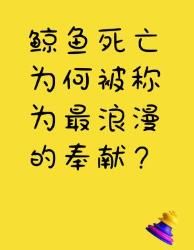 深海温柔一鲸落万物生的震撼美学