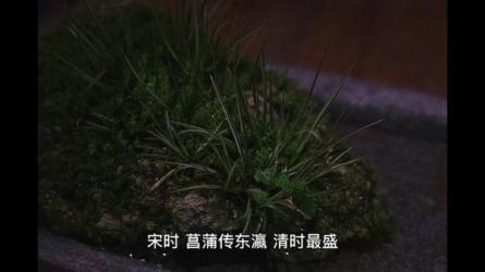 草木奇品家雅見_69-课程-网盘资源分享