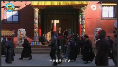 西藏羊卓雍措里的鱼多达8亿公斤，随手就能捞到，为何无人敢吃？-原创解说文案