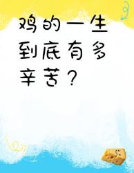 鸡前世今生大揭秘看完手里的鸡腿突然不香了