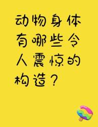 自然界的鬼斧神工！种动物身体构造震惊我全家