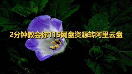 阿里云盘【学习资料汇总】持续更新中……-课程-网盘资源分享
