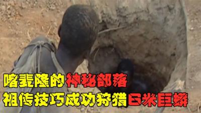 喀麦隆的天才原始人，捕猎洞下6米长蟒蛇，神仙技术一击毙命-原创解说文案
