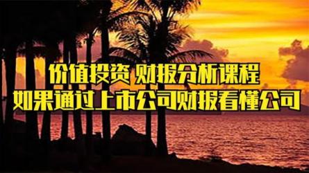 财务自由财报分析技能课-课程-网盘资源分享
