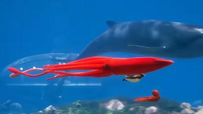 3D动画科普：不同水域生物，从日本稻田鱼到印度羌语的游动速度对比 .印度枪鱼